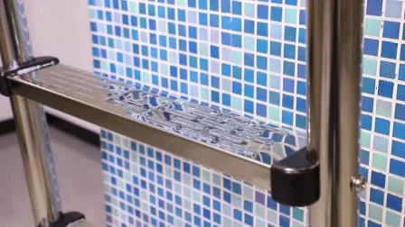 安全なアクセスのためのプレミアム品質のスイミングプール用はしご